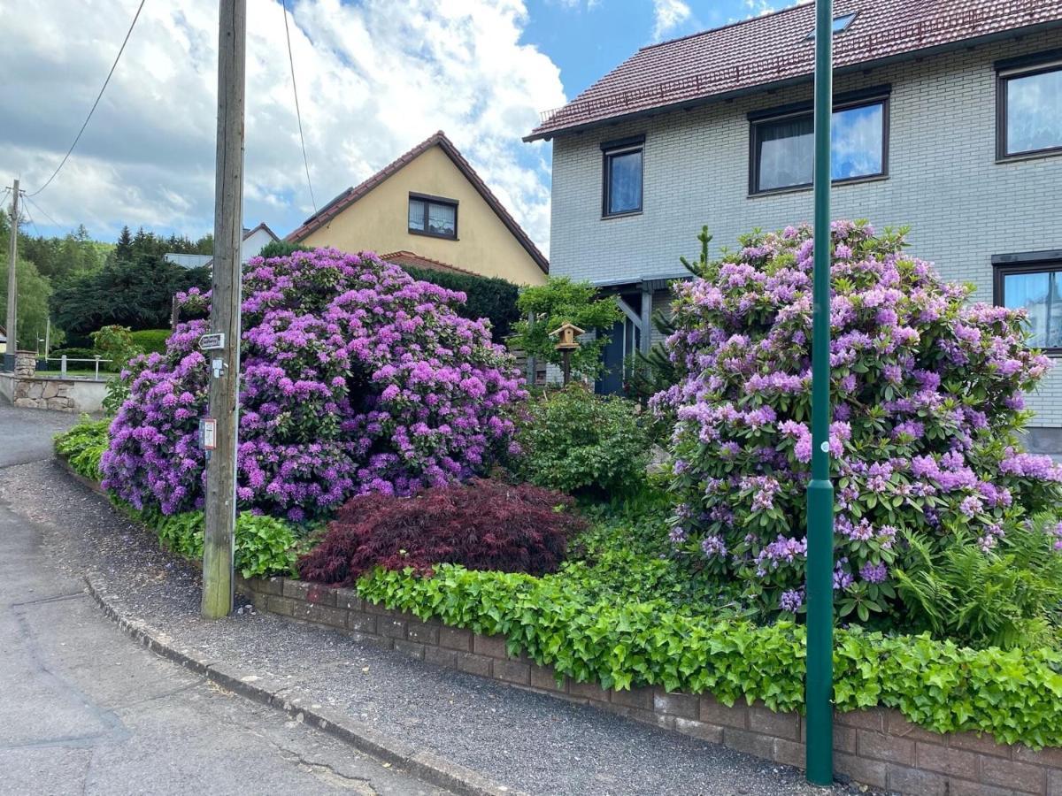 Apartment In ヴァルタースハウゼン エクステリア 写真