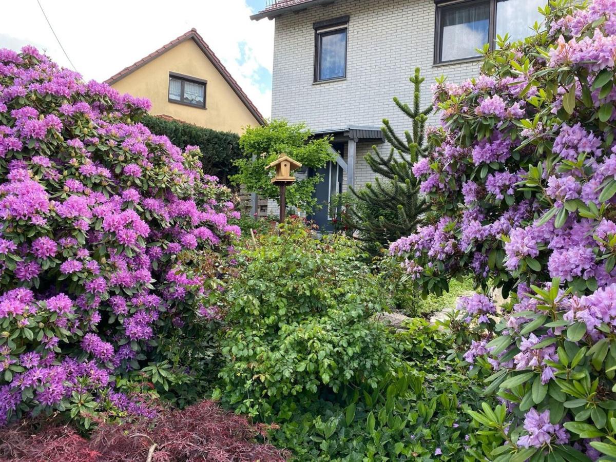 Apartment In ヴァルタースハウゼン エクステリア 写真